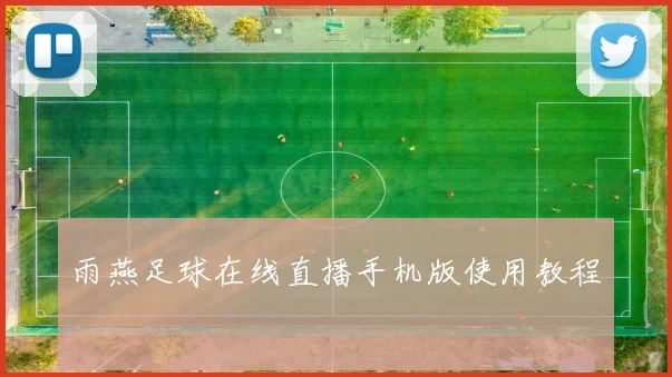 雨燕足球在线直播手机版使用教程