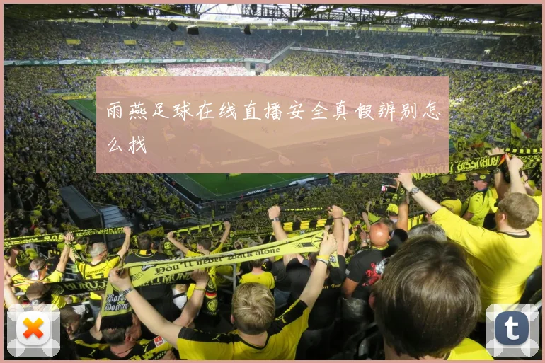 雨燕足球在线直播安全真假辨别怎么找