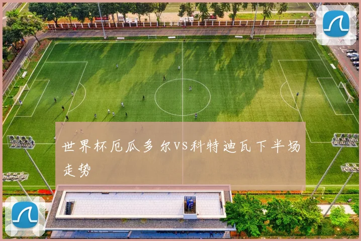 世界杯厄瓜多尔vs科特迪瓦下半场走势