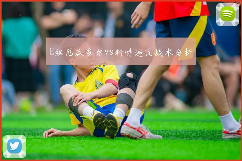 E组厄瓜多尔vs科特迪瓦战术分析