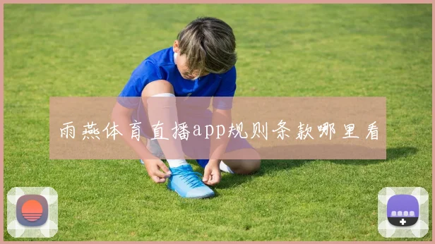 雨燕体育直播app规则条款哪里看