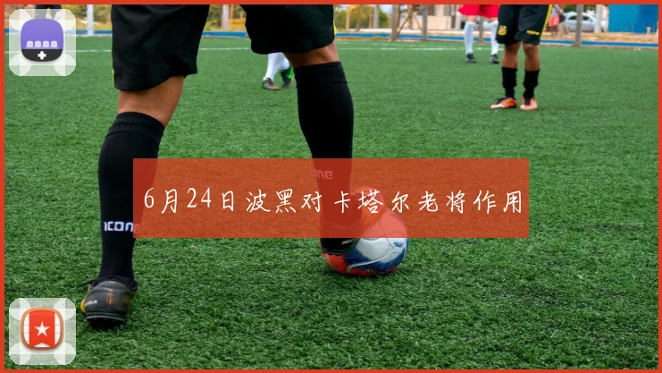 6月24日波黑对卡塔尔老将作用